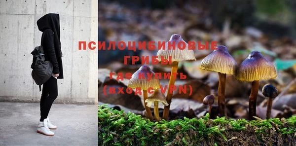 jwh Аркадак