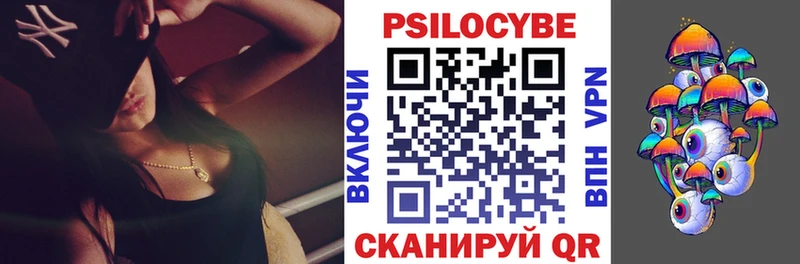 Псилоцибиновые грибы GOLDEN TEACHER  закладка  блэк спрут tor  Волгоград 