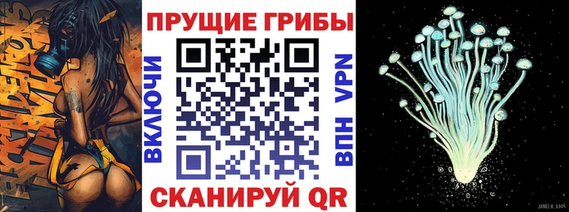 Галлюциногенные грибы GOLDEN TEACHER Волгоград